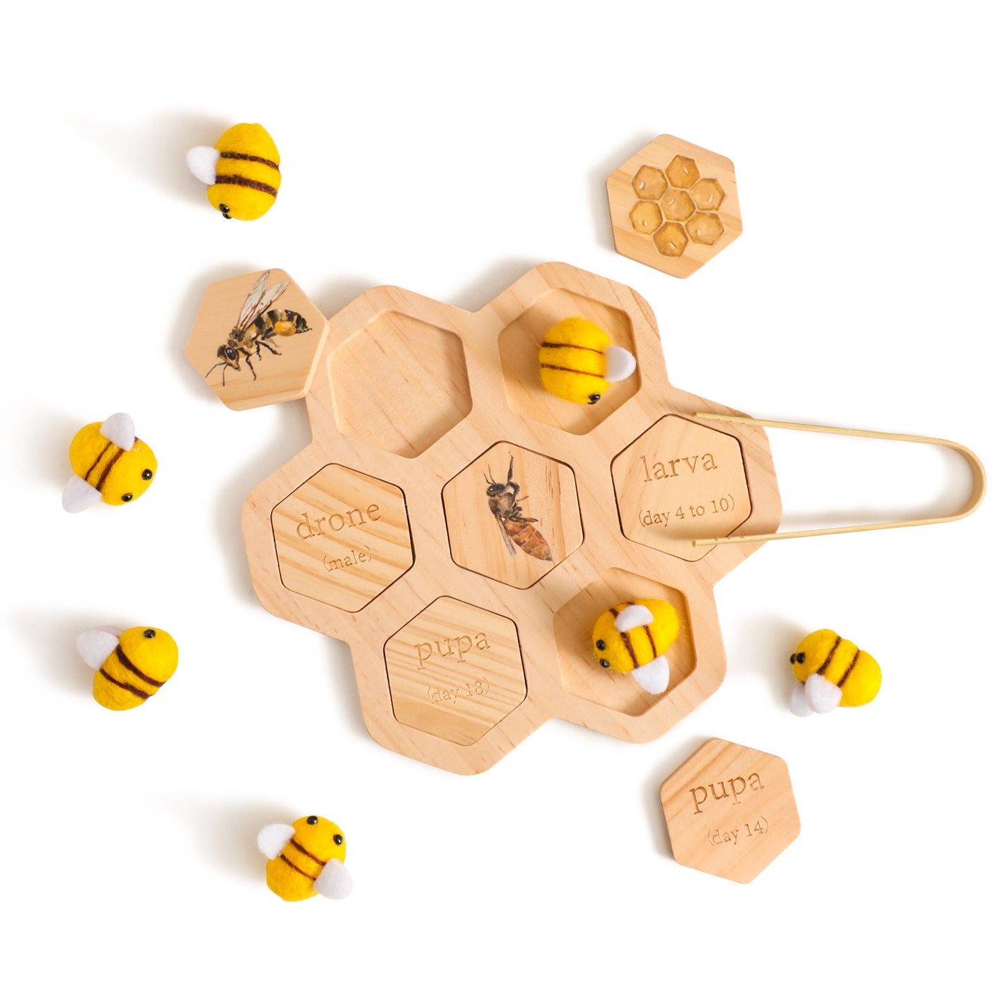 “Material Didáctico Montessori de Ciencias Naturales — Rompecabezas de Abeja para Educación Temprana y Desarrollo Cognitivo”
