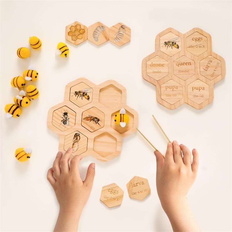 “Material Didáctico Montessori de Ciencias Naturales — Rompecabezas de Abeja para Educación Temprana y Desarrollo Cognitivo”
