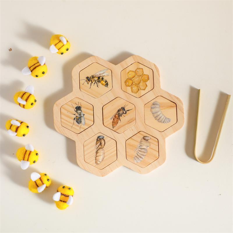 “Material Didáctico Montessori de Ciencias Naturales — Rompecabezas de Abeja para Educación Temprana y Desarrollo Cognitivo”