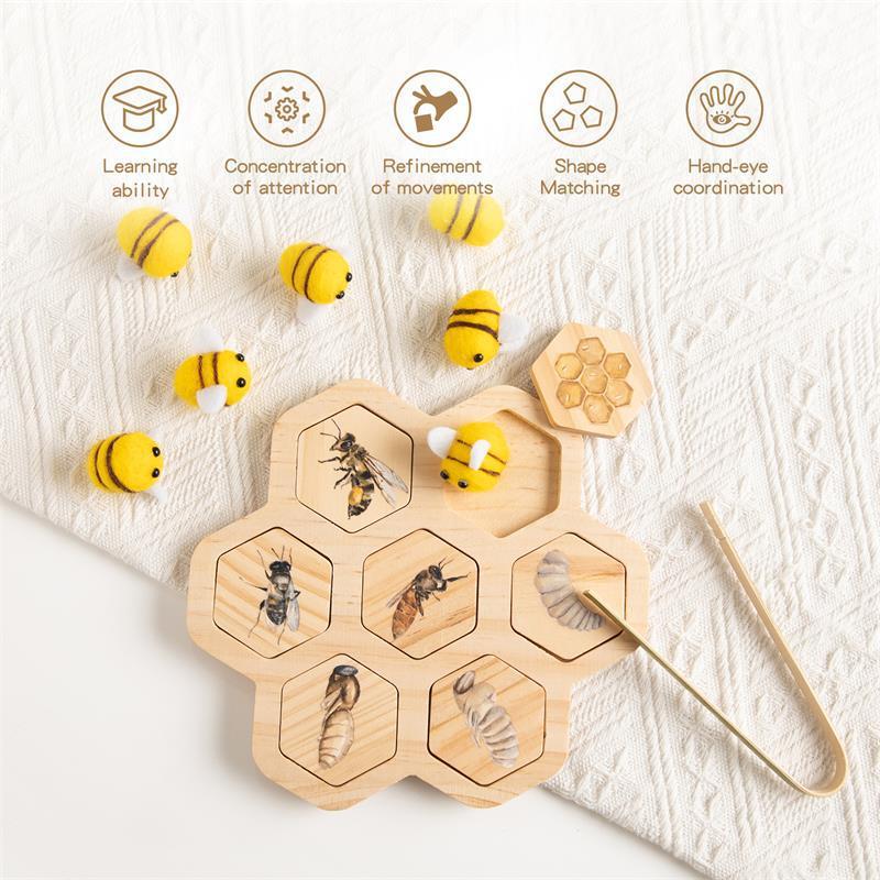 “Material Didáctico Montessori de Ciencias Naturales — Rompecabezas de Abeja para Educación Temprana y Desarrollo Cognitivo”
