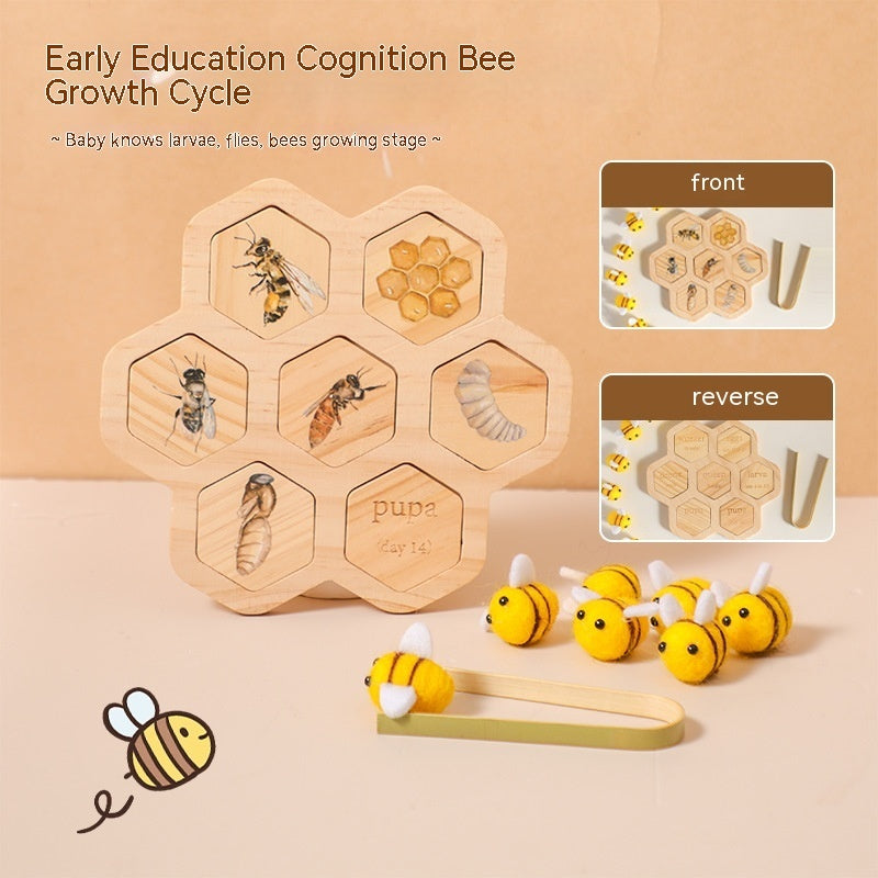 “Material Didáctico Montessori de Ciencias Naturales — Rompecabezas de Abeja para Educación Temprana y Desarrollo Cognitivo”